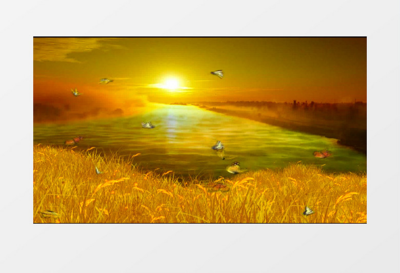 温馨黄色夕阳蝴蝶飞舞背景视频(有音乐) 温馨黄色夕阳蝴蝶飞舞背景视频(有音乐)