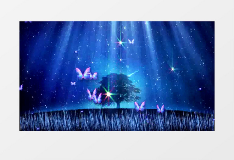 星河梦幻星空大树蝴蝶飞舞背景视频  有音乐   