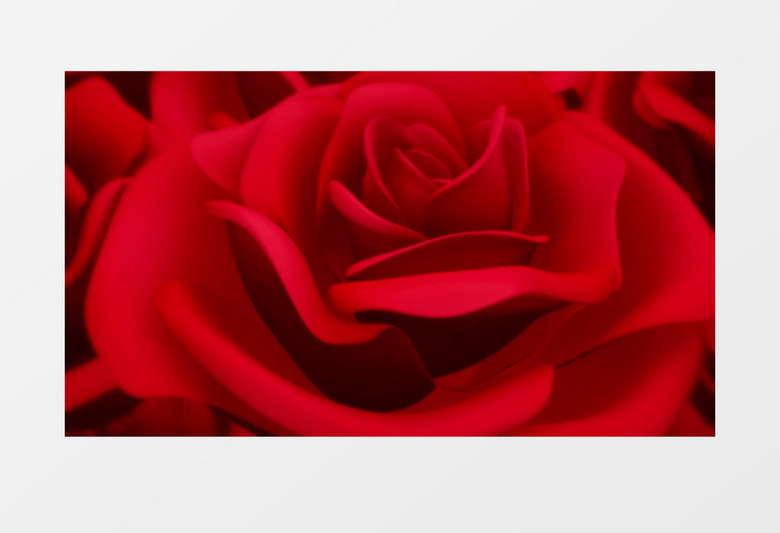 高清唯美动态红色玫瑰花婚礼婚庆唯美背景视频（有音乐）