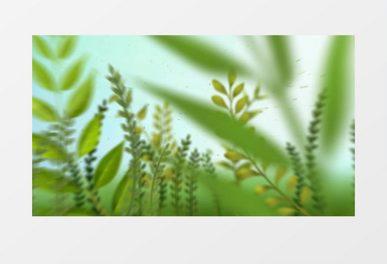 清新自然植物logo标志展示ae模版