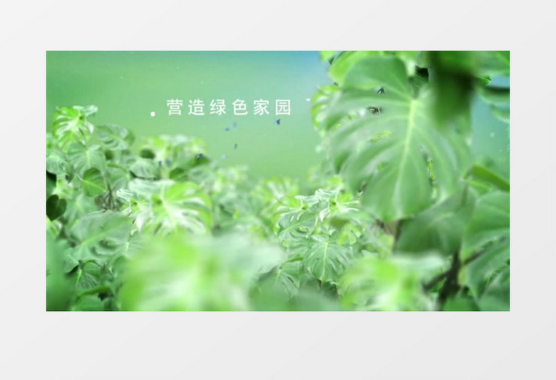 雨林背景文字标题展示ae模板