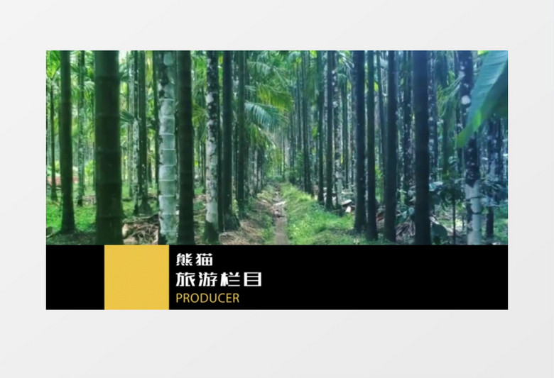 旅游电视广播图片包装ae模板
