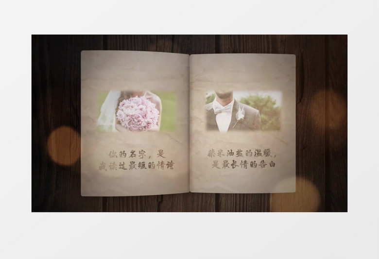 StoryBook3D鷭ҳͼƬչʾPRƵģ