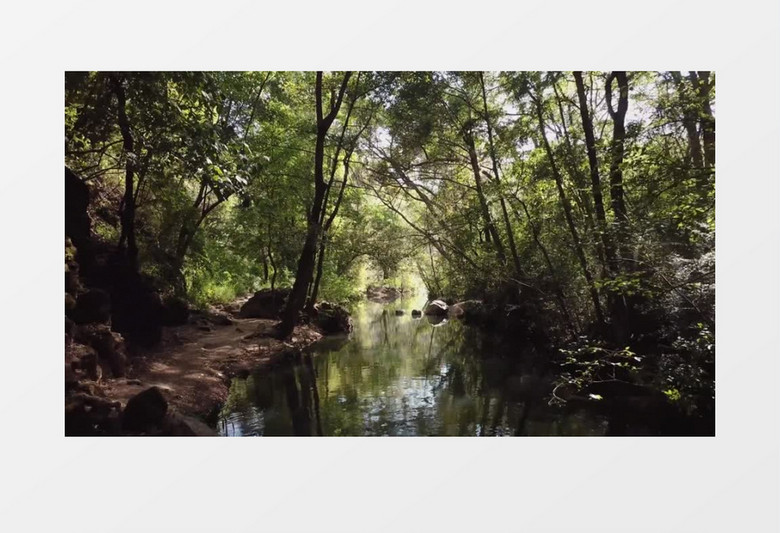 河流小溪流水唯美风景实拍视频