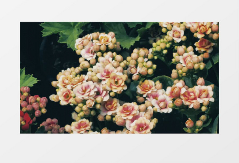 960x0a0a700