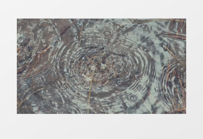 雨水滴落产生波纹风景实拍视频