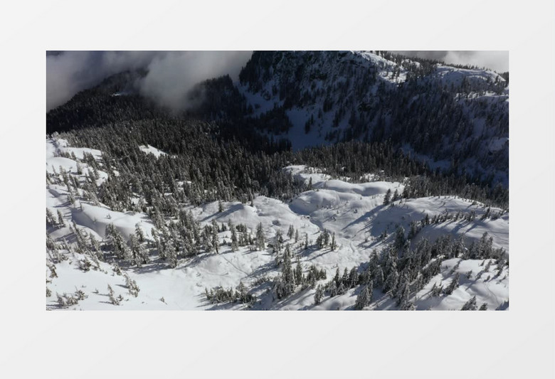 航拍山上覆盖着厚厚的一层雪和松树实拍视频素材