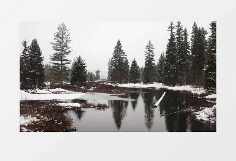 河流雪景积雪森林实拍视频