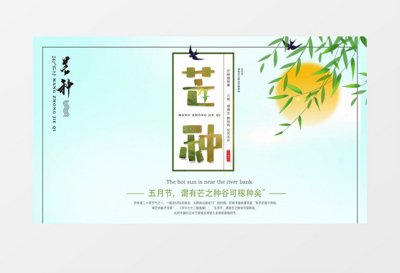 芒种传统文化二十四节气AE模板
