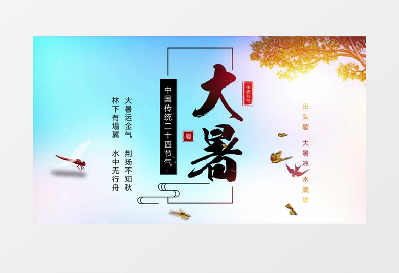 传统民俗二十四节气大暑AE模板