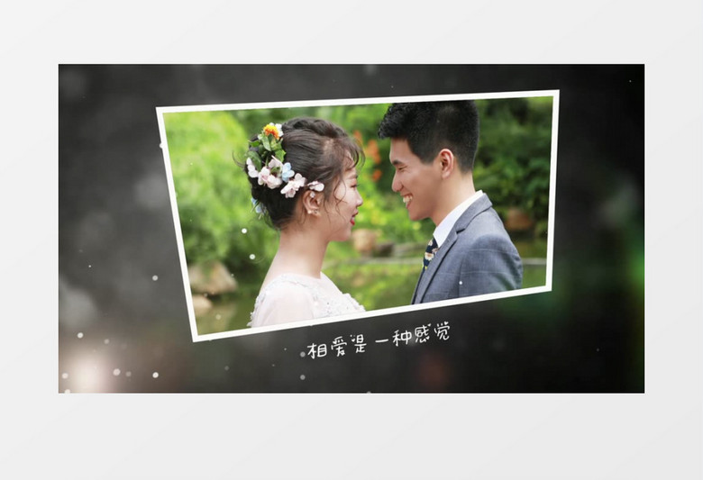 创意梦幻粒子婚礼相册片头edius视频模板