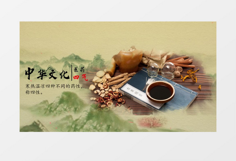 唯美水墨中国风中医宣传相册PR模板