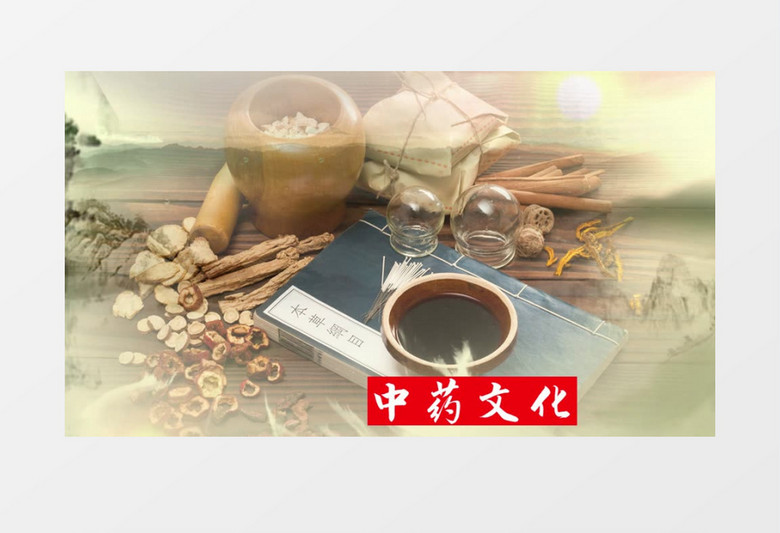 大气水墨中国风中医药材宣传PR模板