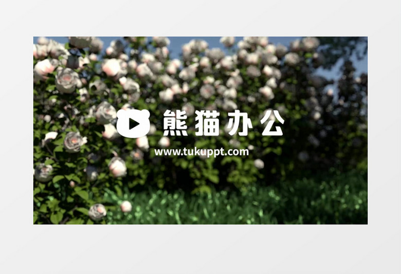 唯美创意花朵logo片头动画pr视频模板