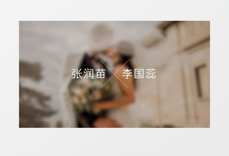 时尚浪漫婚礼字幕条展示动画pr字幕