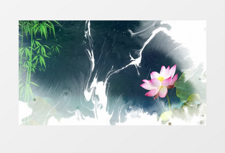 简约森系中国风二十四节气背景视频