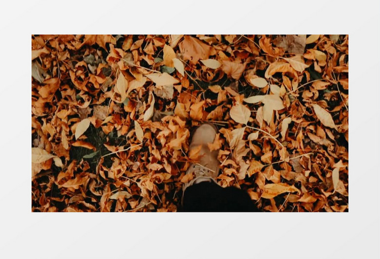 穿短靴的人漫步在堆满落叶的路面实拍视频素材
