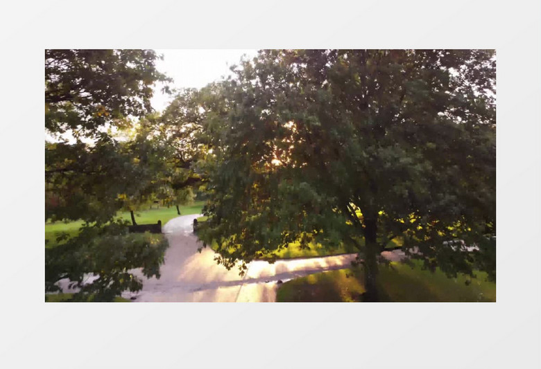 清晨阳光照射在公园上方的景象实拍视频素材