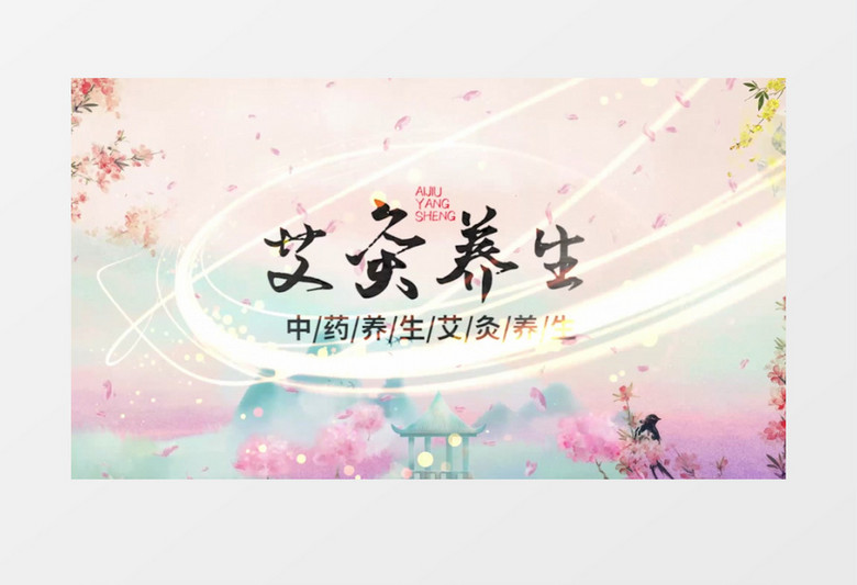 艾灸传统文化图文展示pr视频模板