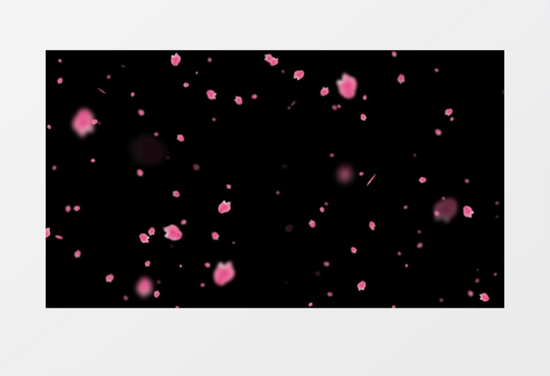 花瓣飞舞粒子透明通道 花瓣飞舞粒子透明通道