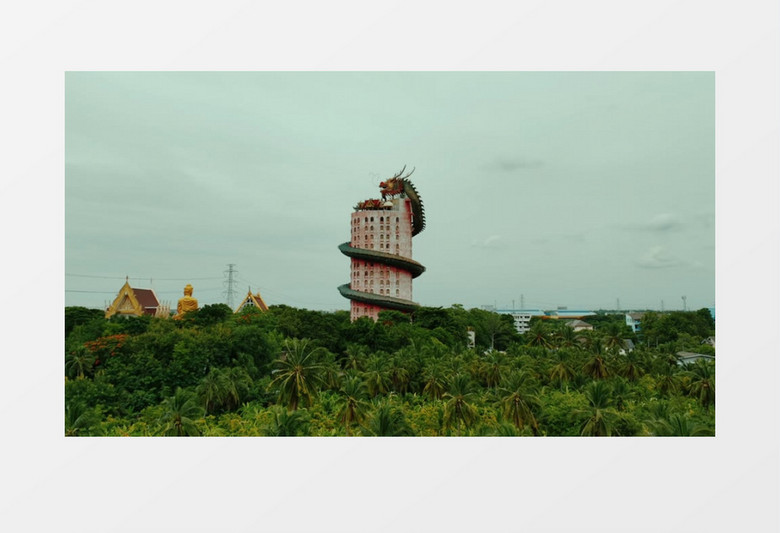 被龙盘旋的建筑物实拍视频素材