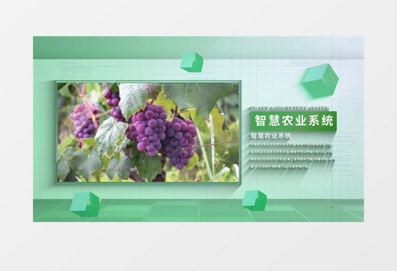智慧农业图文展示AE模板 智慧农业图文展示AE模板
