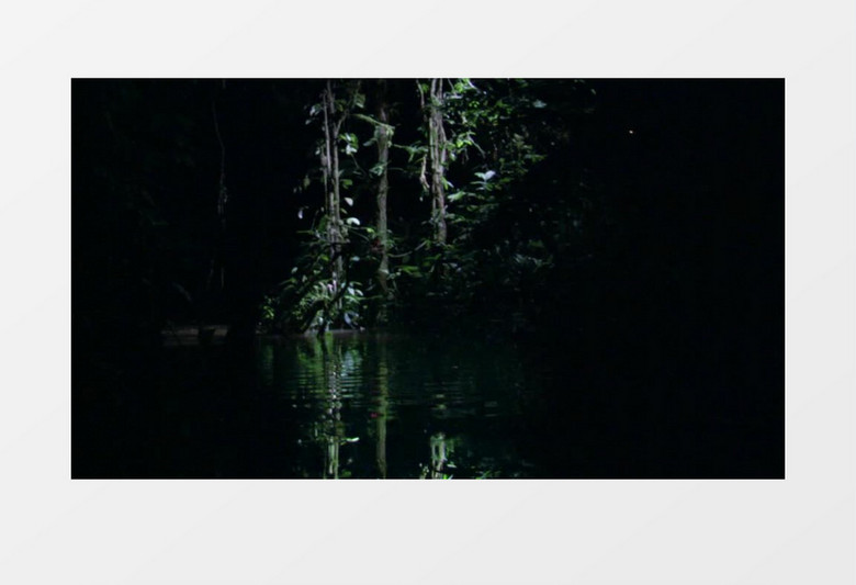 夜晚恐怖树林水面背景视频（有音乐）