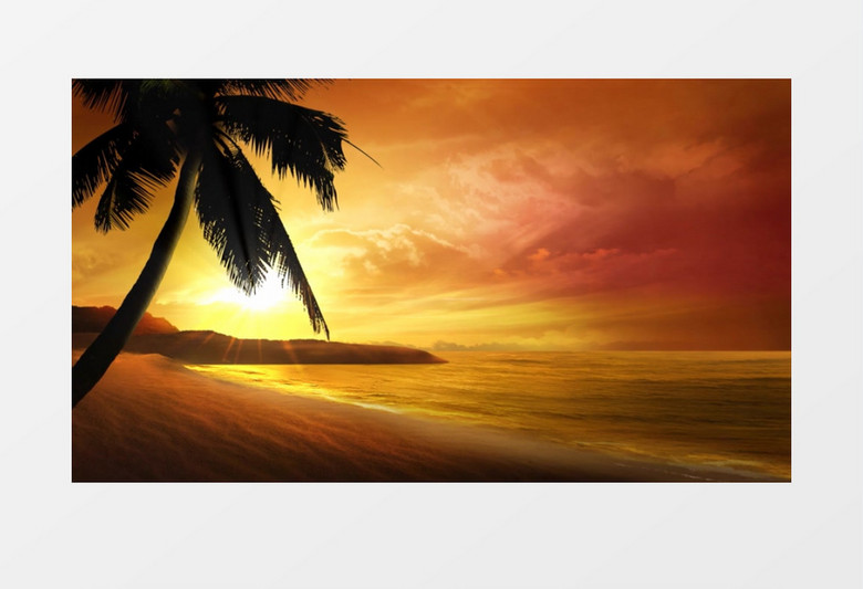 海滩晚霞椰树背景视频（有音乐）