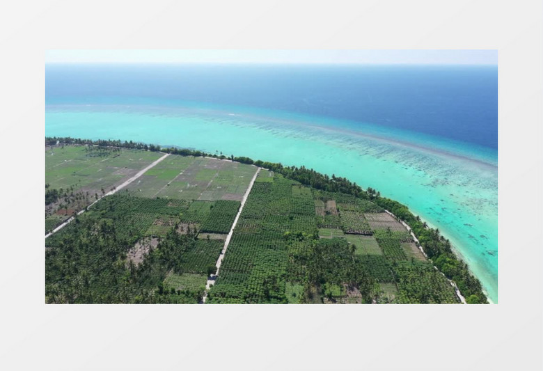 海洋公路草地展示实拍视频
