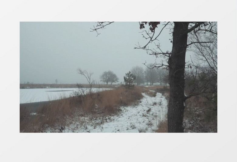 冬季森林里的冰湖实拍视频素材