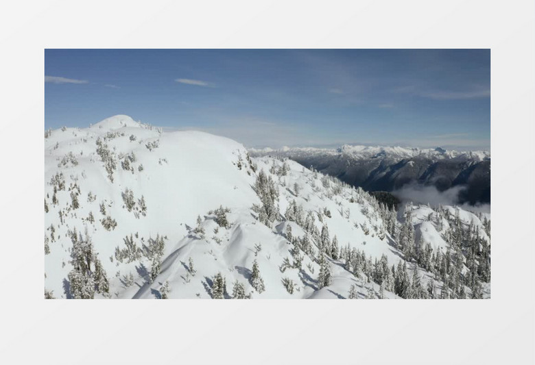 覆盖着松树和雪的山顶实拍视频素材