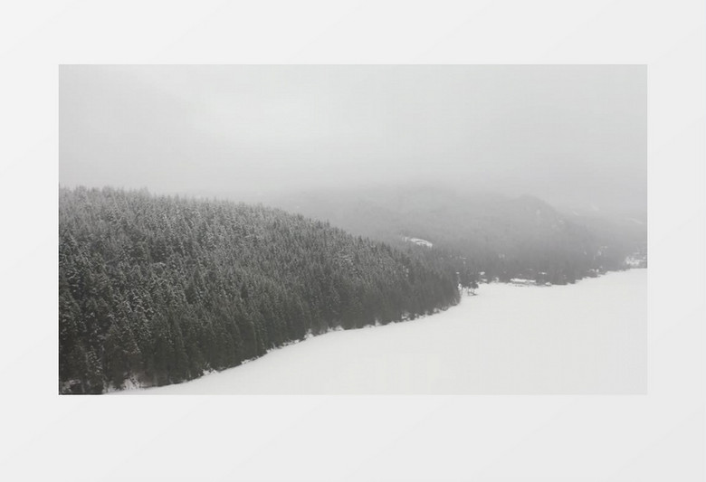 周围的松树环绕着被白雪覆盖的平原实拍视频素材