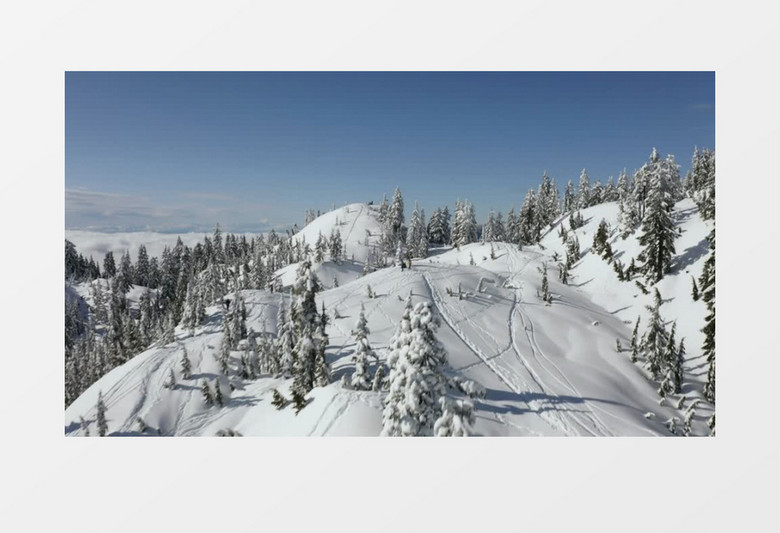 白雪覆盖的山脉和松树林的顶端实拍视频素材
