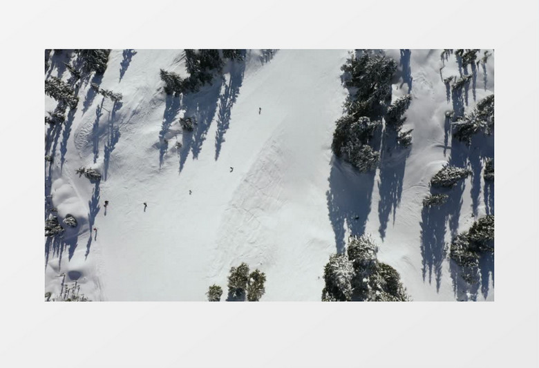 在加拿大的山坡上滑雪实拍视频素材
