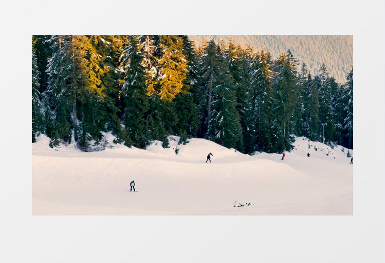 有滑雪者的森林附近的平原实拍视频素材