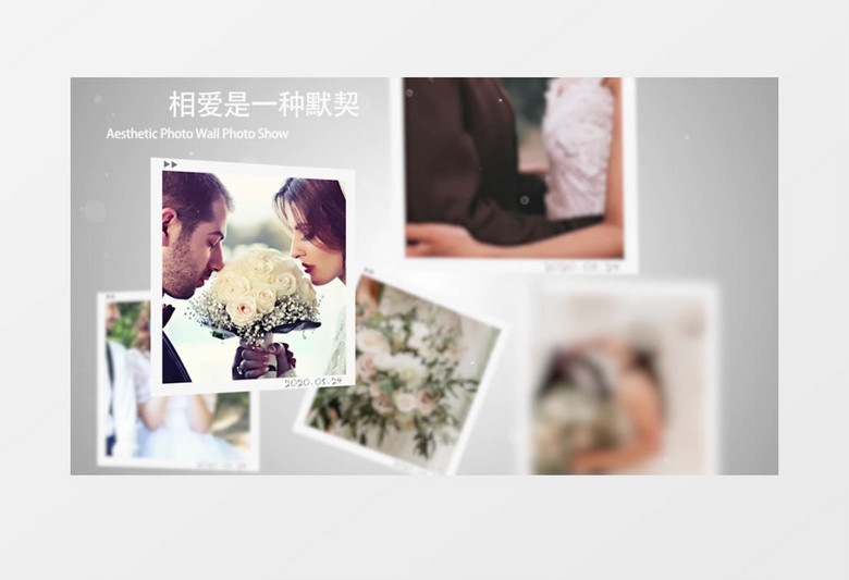 高端唯美相片墙个人写真相册展示Pr模板 高端唯美相片墙个人写真相册展示Pr模板