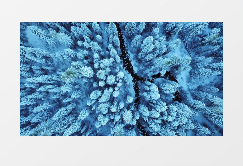 小溪潺潺流淌过大雪覆盖的树林俯拍实拍视频素材