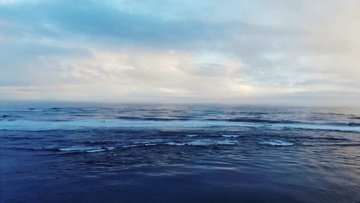 800x450a80a121