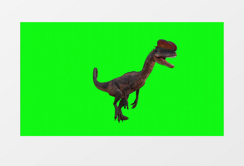  3D旋转的恐龙视频素材