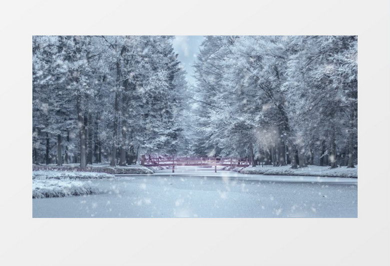 冬日树林大雪纷纷背景视频素材