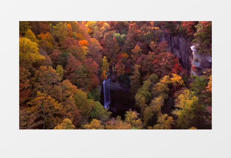 航拍壮观的森林瀑布实拍视频