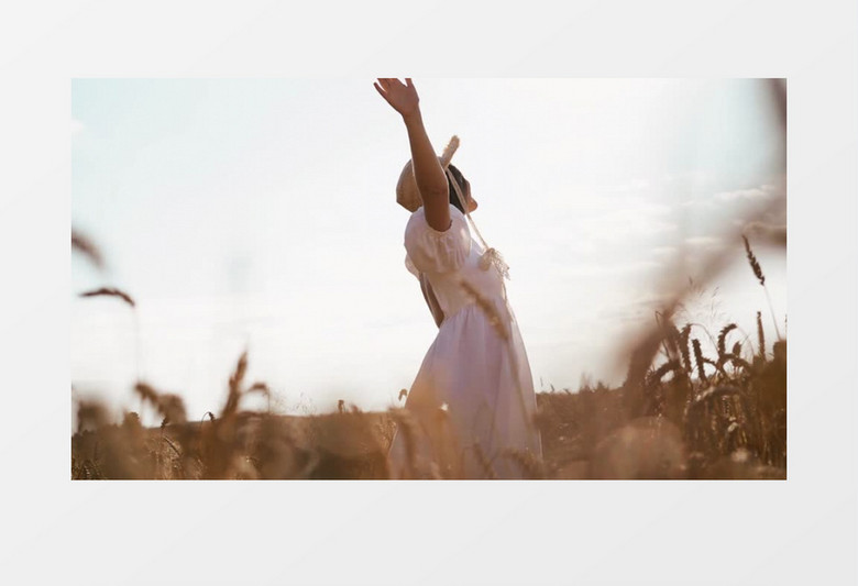 女人站在麦田里拥抱自然实拍视频素材