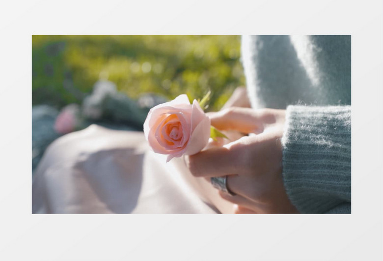 女人手里拿了一支粉色玫瑰实拍视频素材