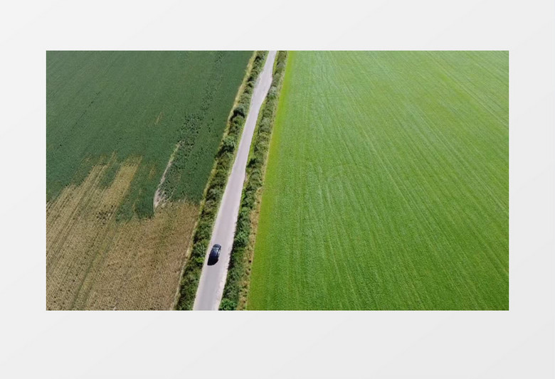 高清航拍绿色的田地中间的道路实拍视频素材