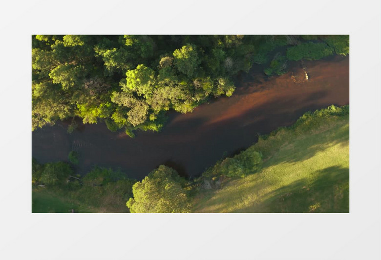 航拍树林里有一条河流实拍视频
