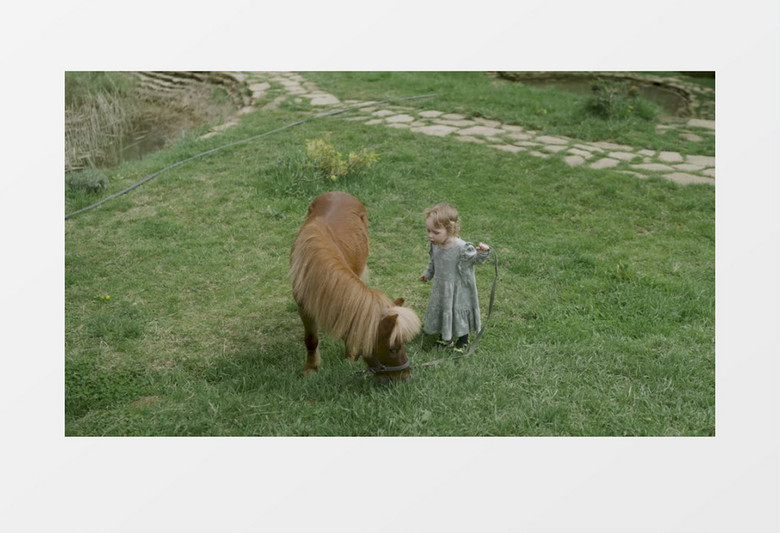 小女孩牵着正在吃草的小马实拍视频