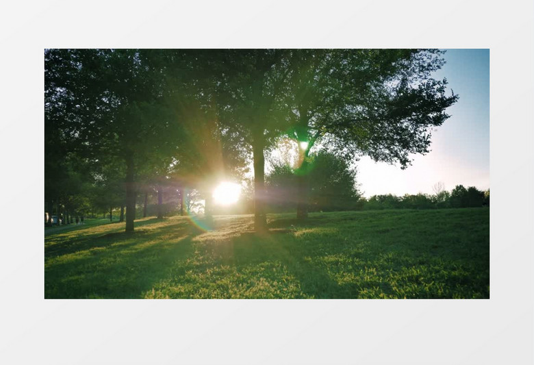 黄昏里的公园阳光洒在林间实拍视频