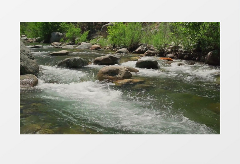 小溪中潺潺流动的水实拍视频素材