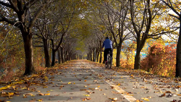 骑行者在秋日的早上在道路上骑行实拍视频素材
