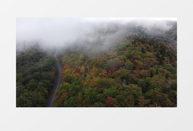 俯拍烟雾缭绕下的自然植被景色实拍视频素材
